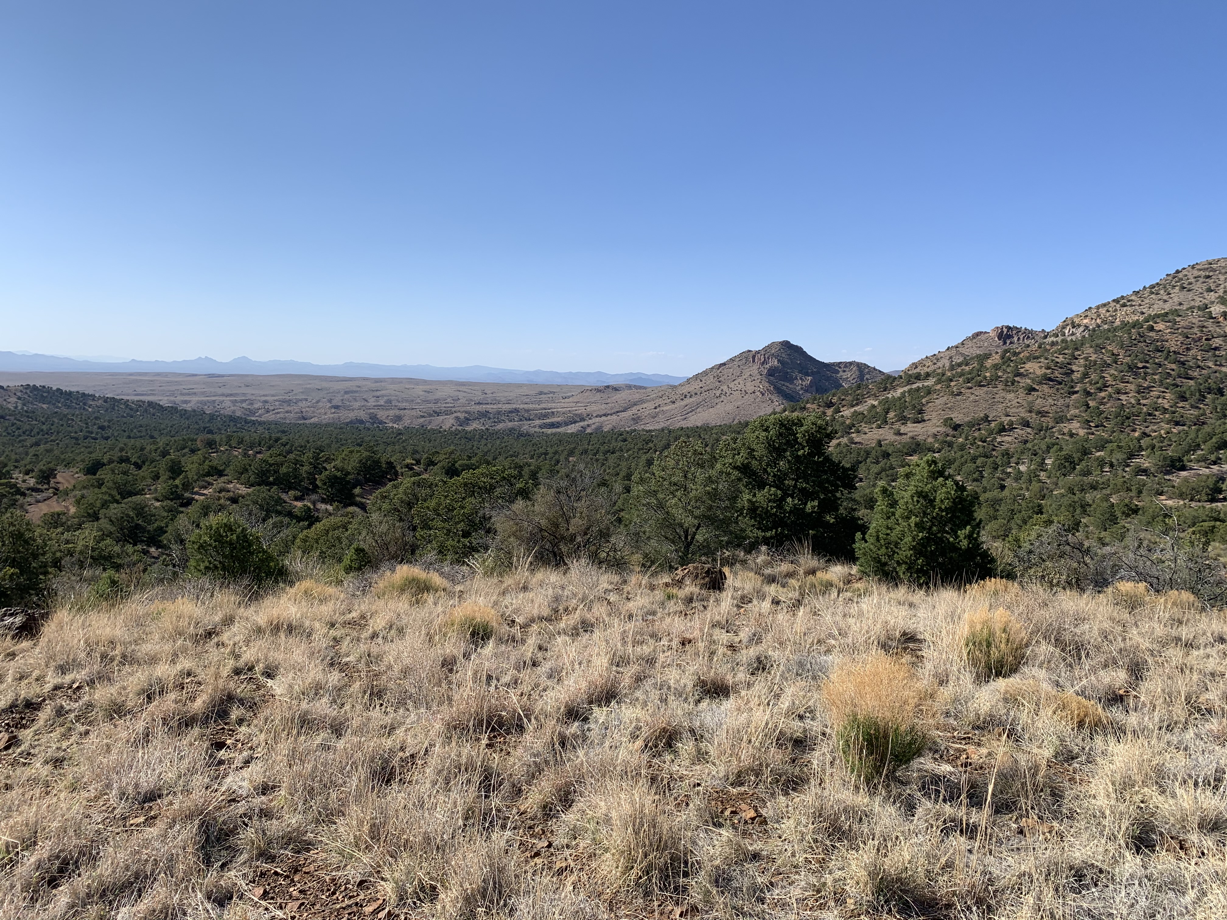 GRIP submits scoping comments on Malone Bronco Mineral Exploration Project