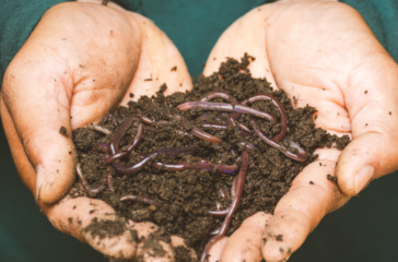 Free Backyard Composting Trainings Available April 14 and 19