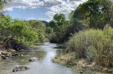 New Mexico Water Advocates Applaud Biden Administration Decision to Repeal Trump-era Dirty Water Rule