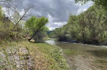 Public Comment Needed on NM Water Quality Standards