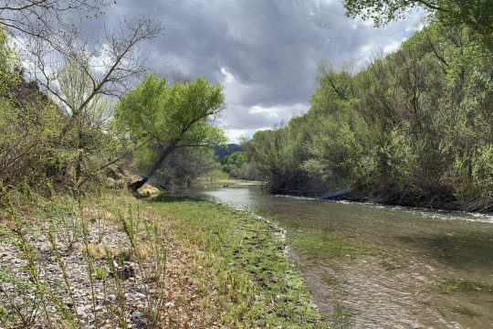 Public Comment Needed on NM Water Quality Standards