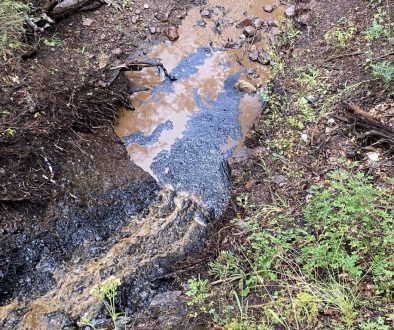 Environmental Groups Demand Answers from State Agencies on Hwy 15 Spill￼
