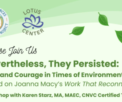 Screenshot 2025-12-23 at 5.00.00 PM