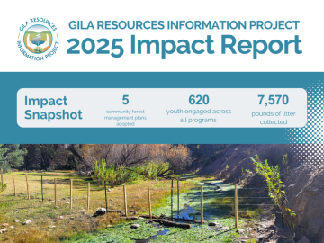 _2025 Impact Graphic (4 x 3 in) (1)