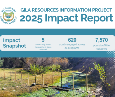 _2025 Impact Graphic (4 x 3 in) (1)