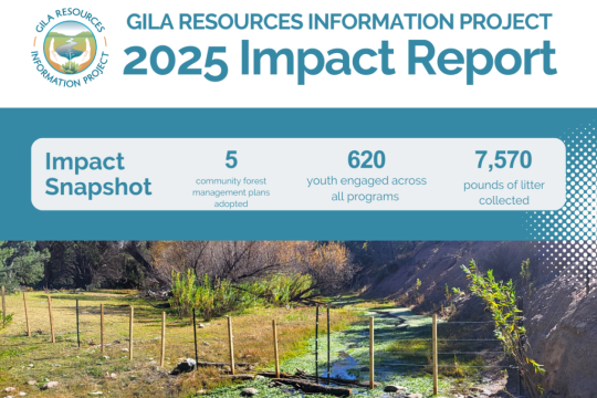 _2025 Impact Graphic (4 x 3 in) (1)