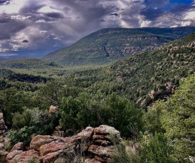 BenLillyOverlook-reduced