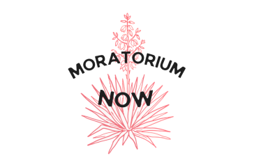 Moratorium Now - Action Network