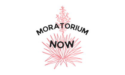Moratorium Now - Action Network